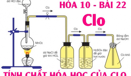 Tính chất hóa học của Clo (Cl), bài tập về Clo - hóa 10 bài 22